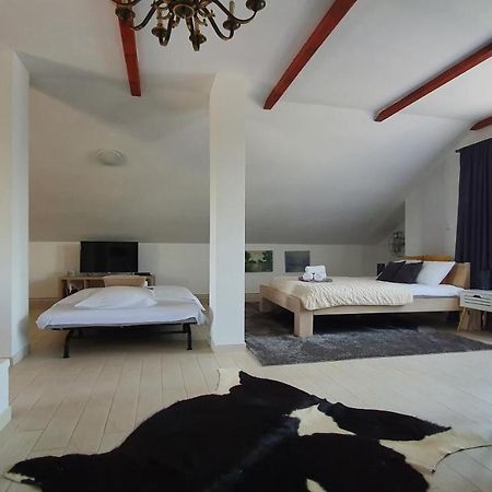 Villa Mons Aureus Popovac Εξωτερικό φωτογραφία