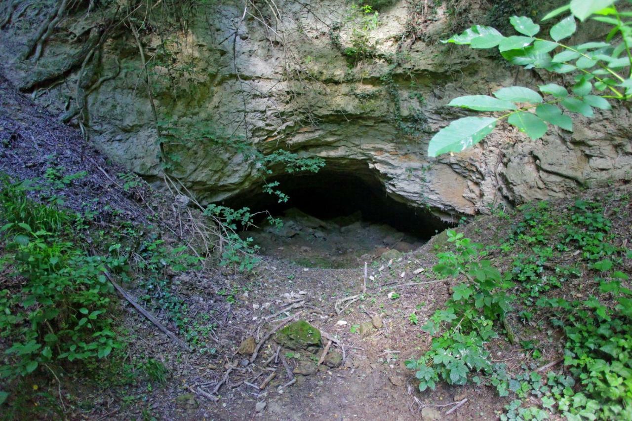 Villa Mons Aureus Popovac Εξωτερικό φωτογραφία