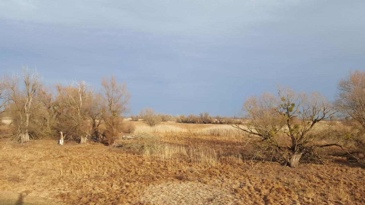 Villa Mons Aureus Popovac Εξωτερικό φωτογραφία